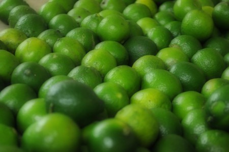 El limón